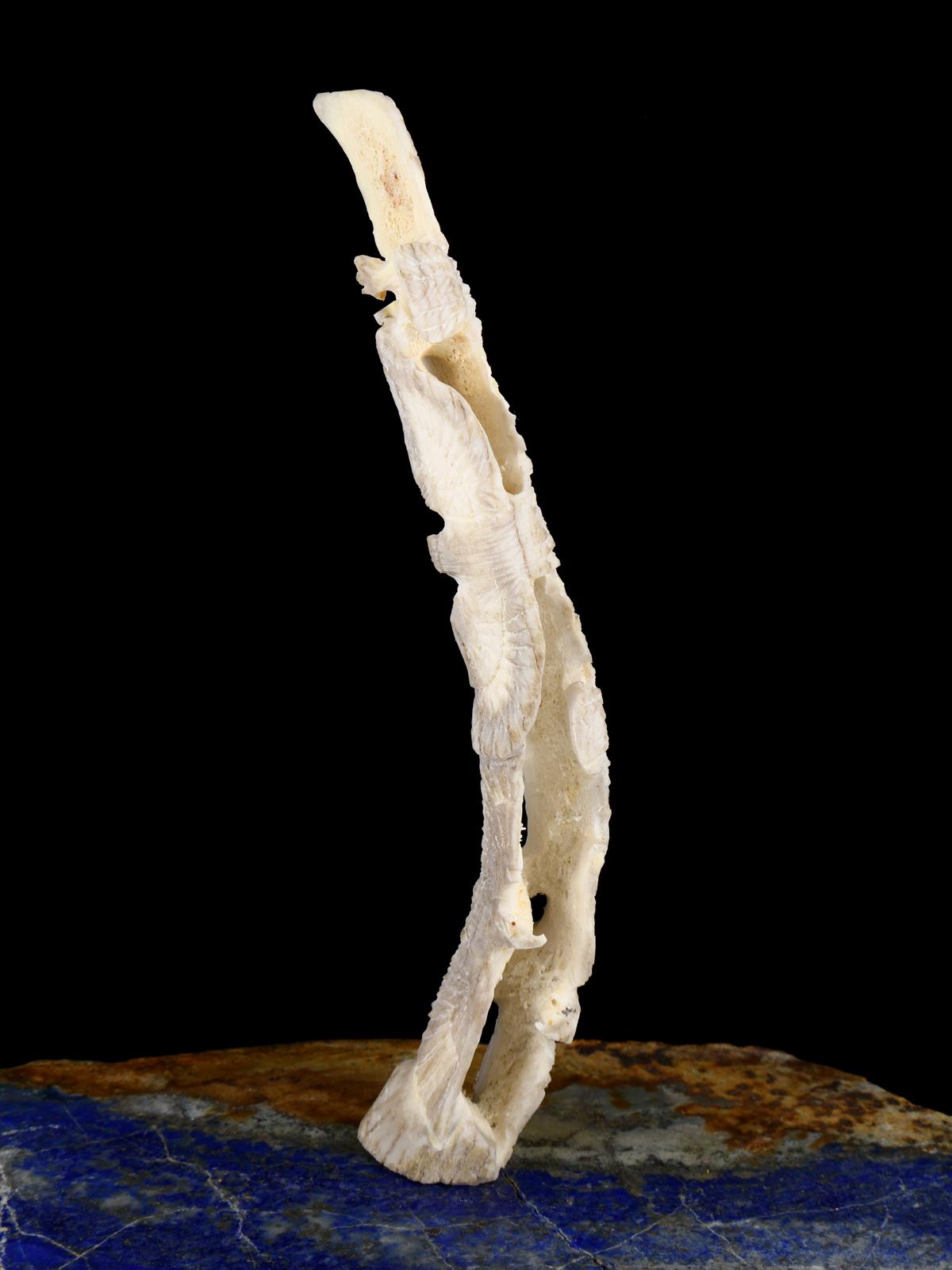 Antler Eagle Famille Zuni Fétiche