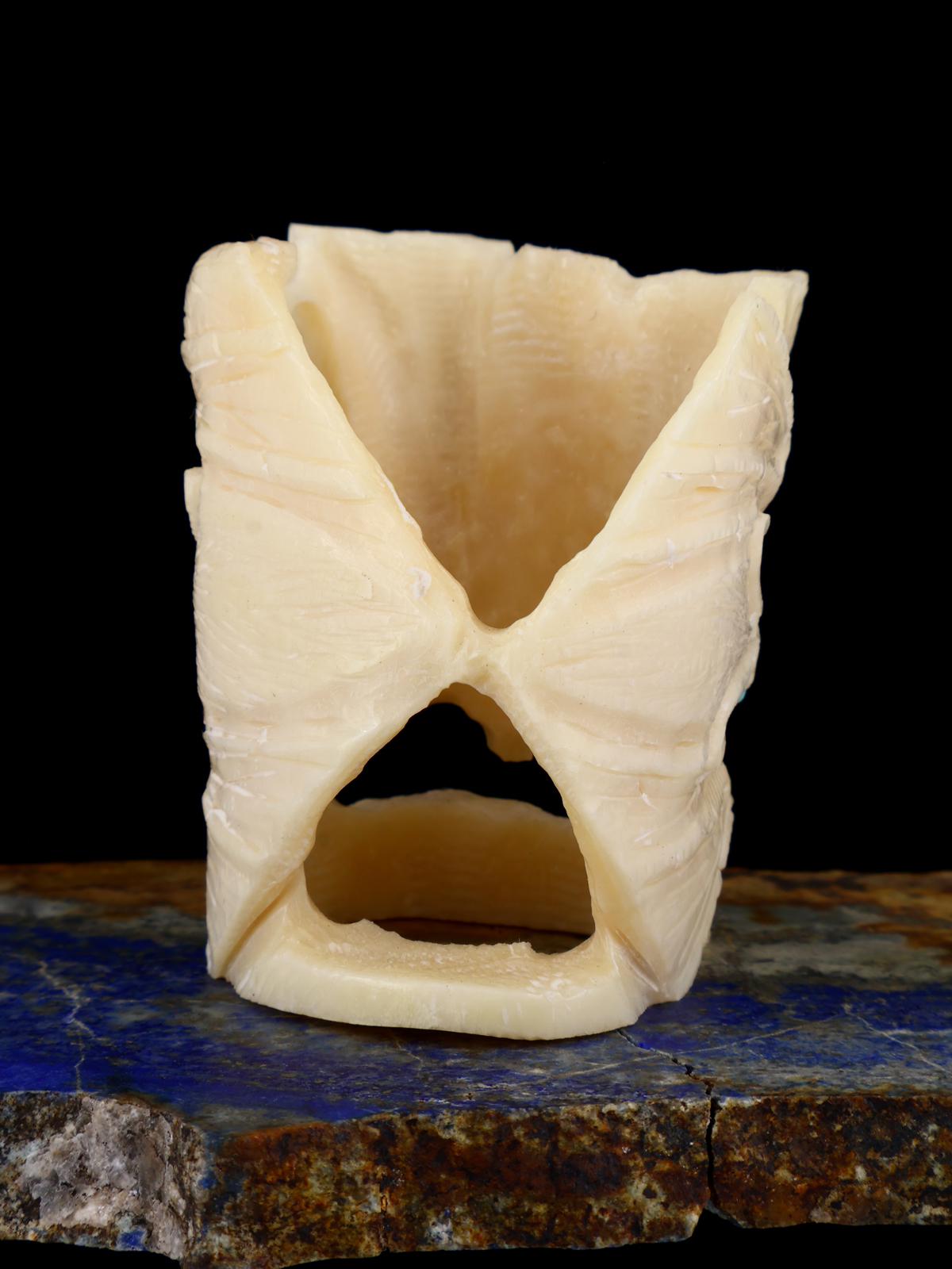 Antler Bat Family Zuni Fetish - PuebloDirect.com