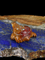 Onyx Turtle Zuni Fetish