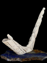 Asta de pájaros Zuni Fetiche