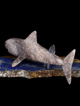 Marble Shark Zuni Fetish