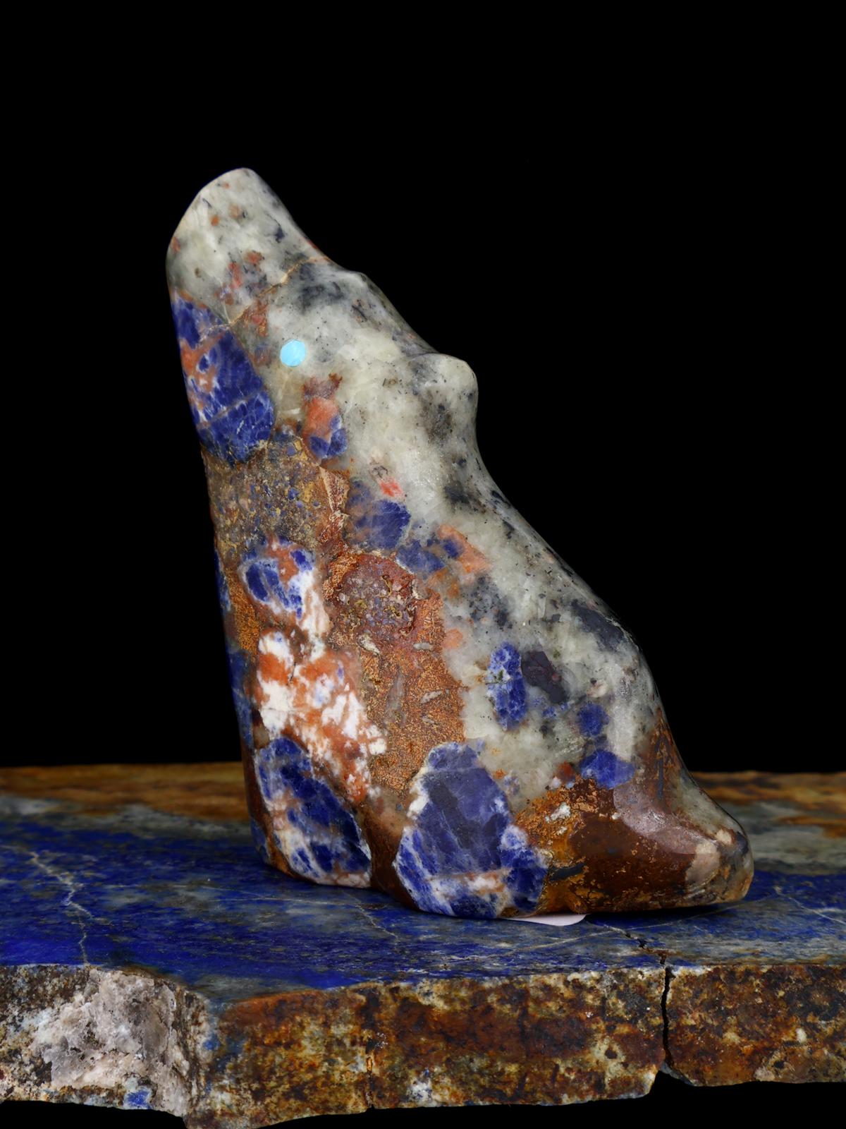 Sodalite Coyote Zuni Fetish