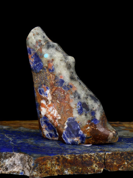 Sodalite Coyote Zuni Fetish