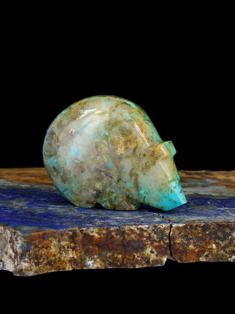 Turquoise Bear Zuni Fetish