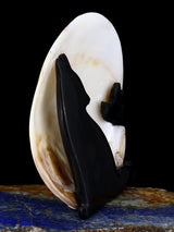 Howling Coyotes Shell Zuni Fetish