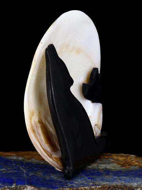 Howling Coyotes Shell Zuni Fetish