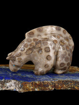 Petosky Coral Mountain Lion Zuni Fetish