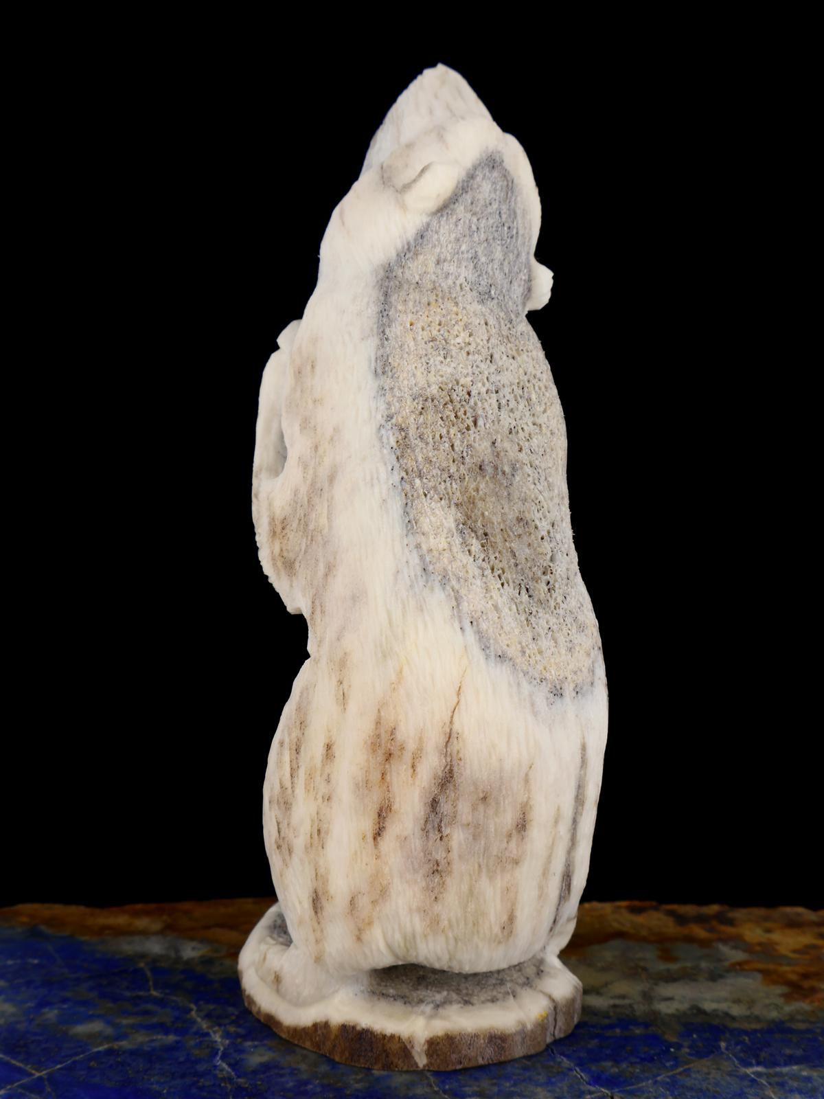 Antler Bear Zuni Fetish - PuebloDirect.com