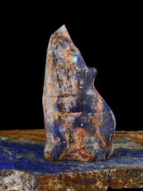 Sodalite Coyote Zuni Fetish - PuebloDirect.com