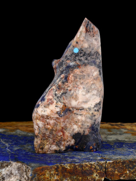 Sodalite Coyote Zuni Fetish - PuebloDirect.com