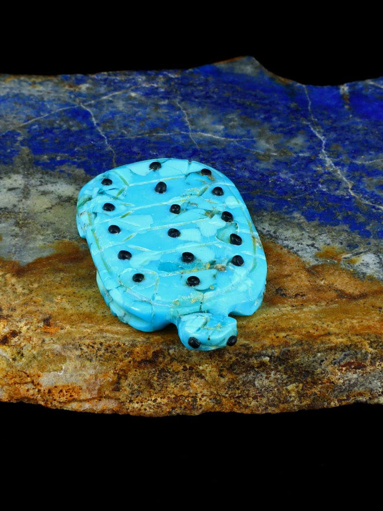 Turquoise Turtle Zuni Fetish - PuebloDirect.com