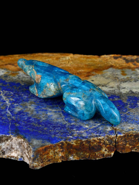 Chrysocolla Mole Zuni Fetish
