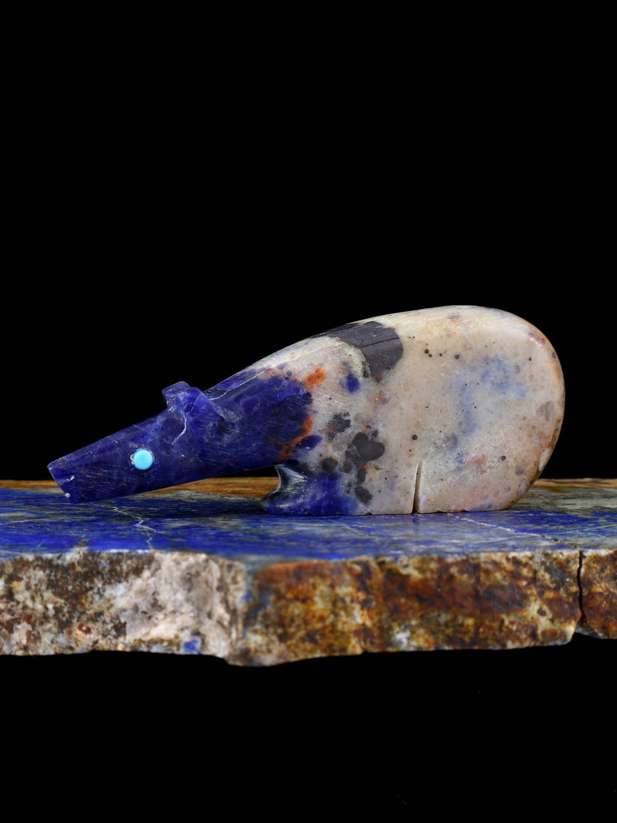 Sodalite Ours Zuni Fétiche