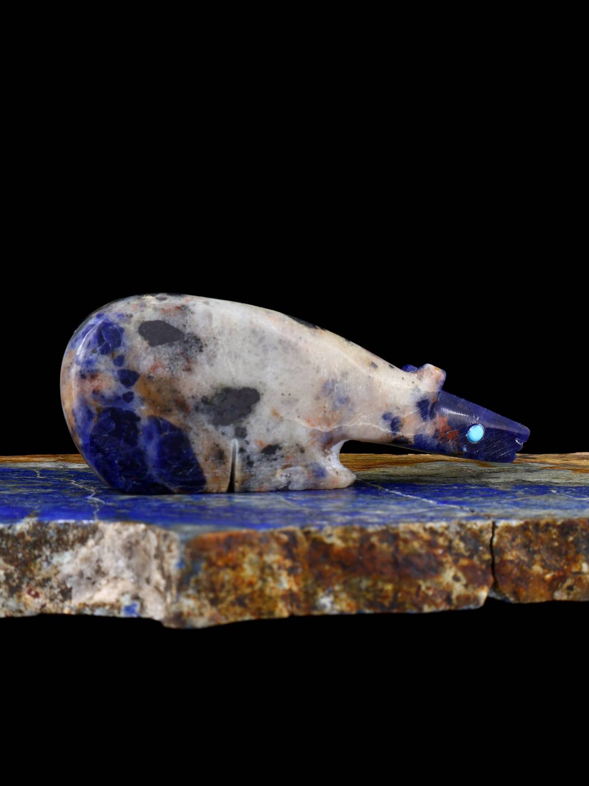 Sodalite Ours Zuni Fétiche