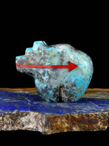 Turquoise Bear Zuni Fetish