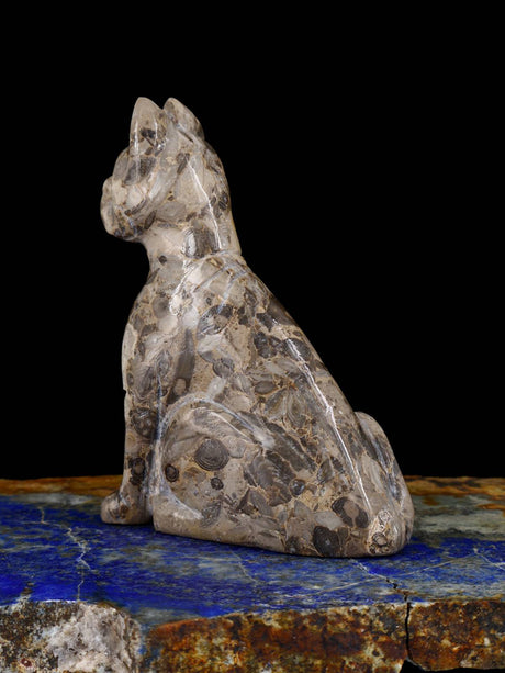 Serpentine Dog Zuni Fetish