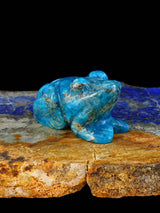 Chrysocolla Frog Zuni Fetish