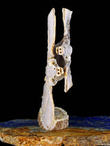 Antler Bats Zuni Fetish