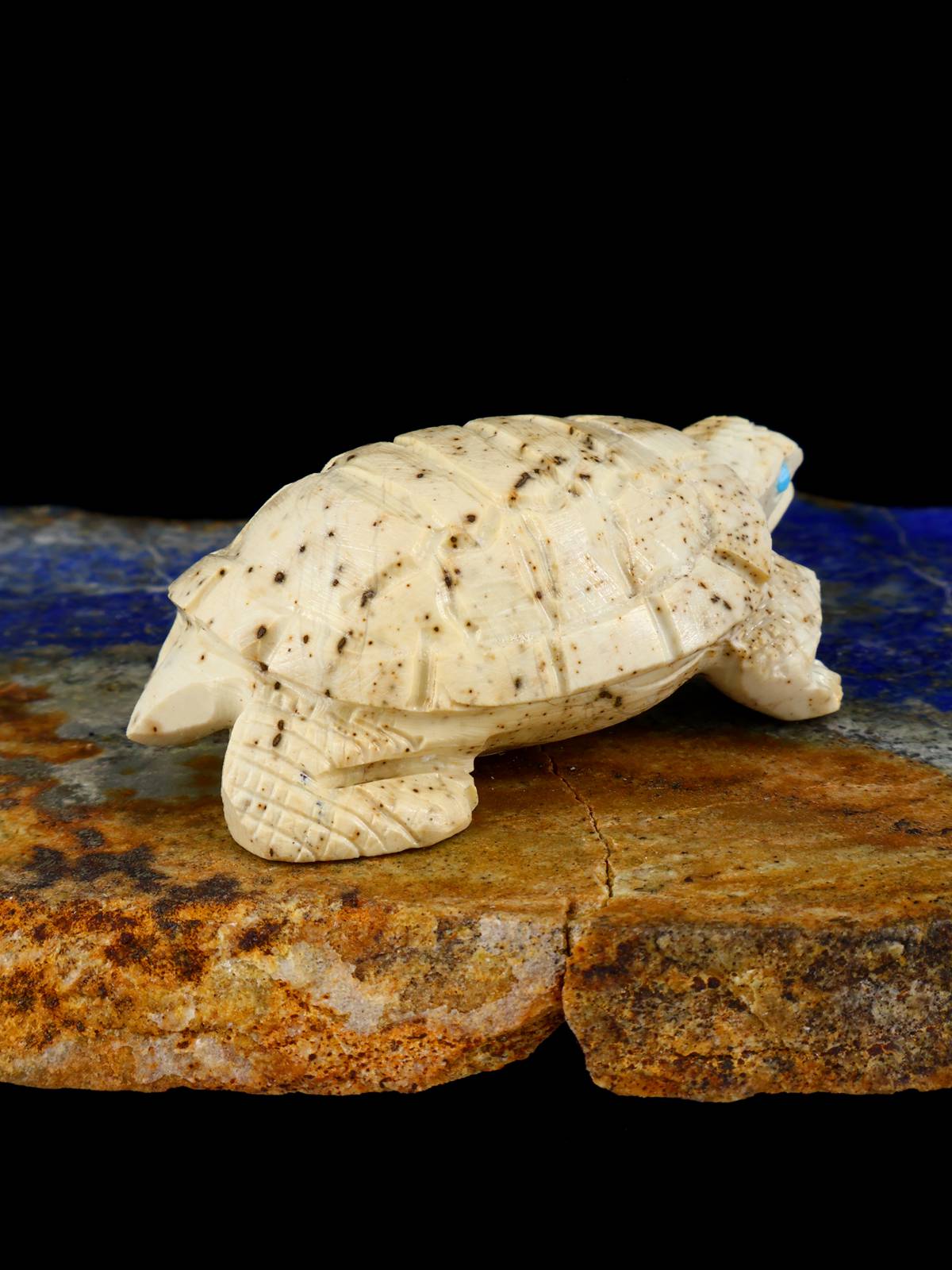 Fetiche Zuni de la Tortuga Serpentina