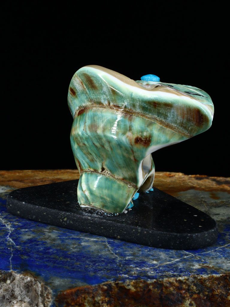 Green Snail Shell Maiden Zuni Fetish - PuebloDirect.com