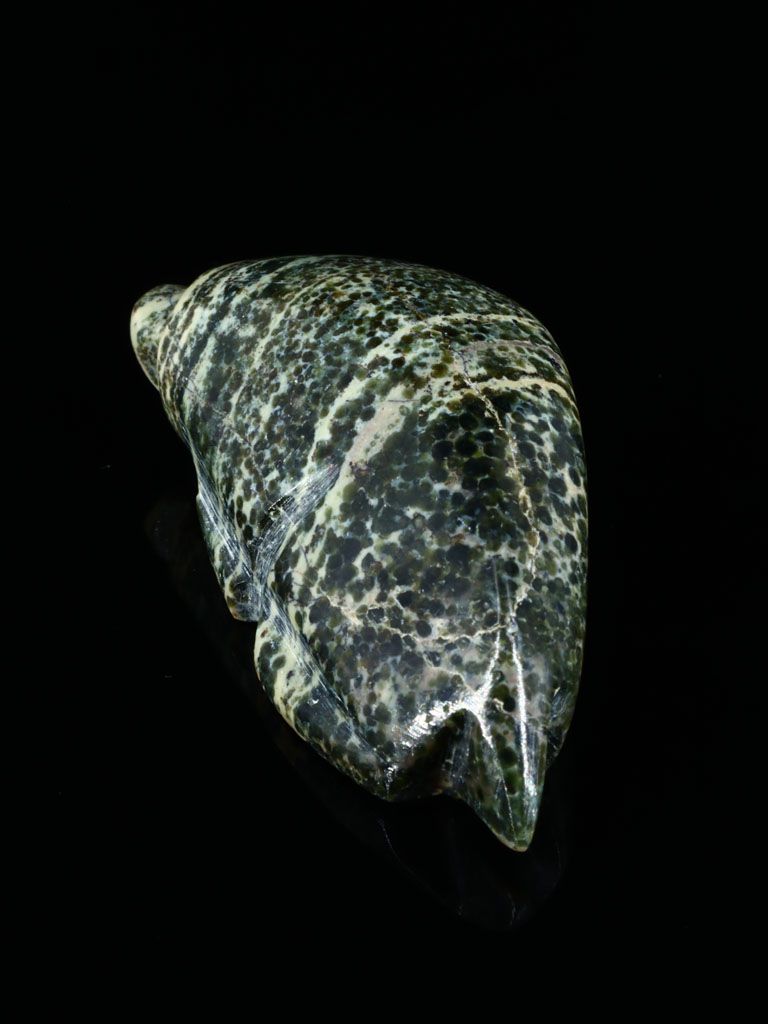 Serpentine Mole Zuni Fetish - PuebloDirect.com